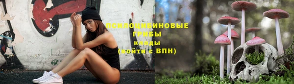 гашик Краснотурьинск