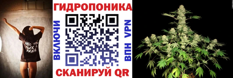 Конопля SATIVA & INDICA  продажа наркотиков  Нижний Новгород 